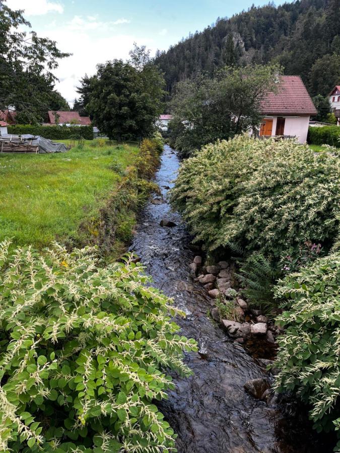 Les Ateliers Villa Gérardmer Eksteriør bilde